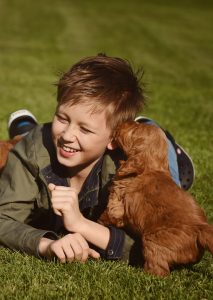 Goldendoodle Labradoodle.de
